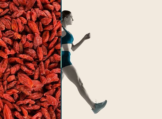 Goji berry and metabolism