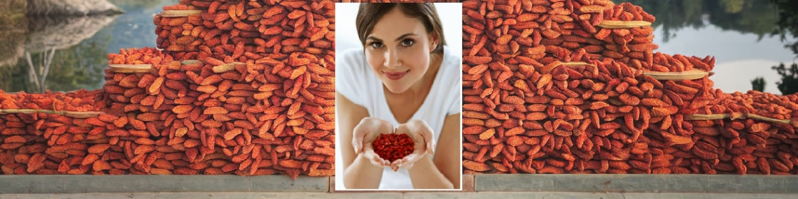 What Do Goji Berries Taste Like