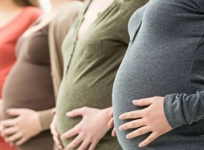 Goji berries and female fertility